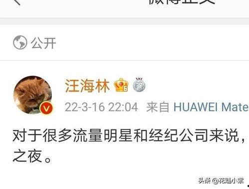 娱乐圈爆料说说,揭秘明星背后的故事与真相  第3张