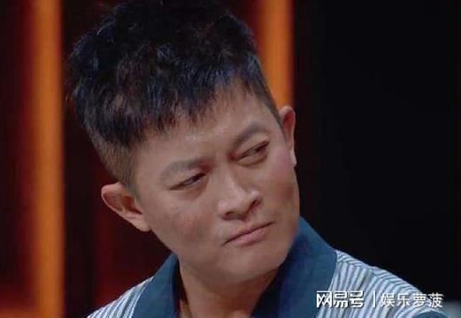 大鹏爆料杨志刚视频,揭秘背后真相  第3张